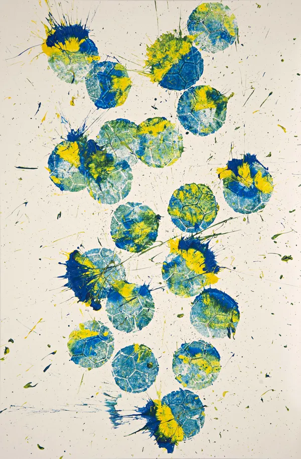 Marco Adamo, Anfesibena, 2024