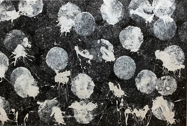 Marco Adamo, Polvere di Stelle, 2025