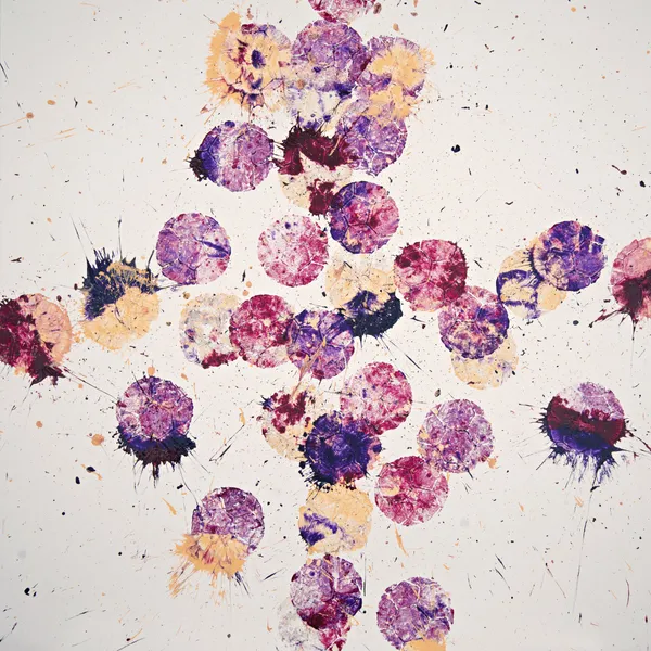 Marco Adamo, Chirottero, 2024