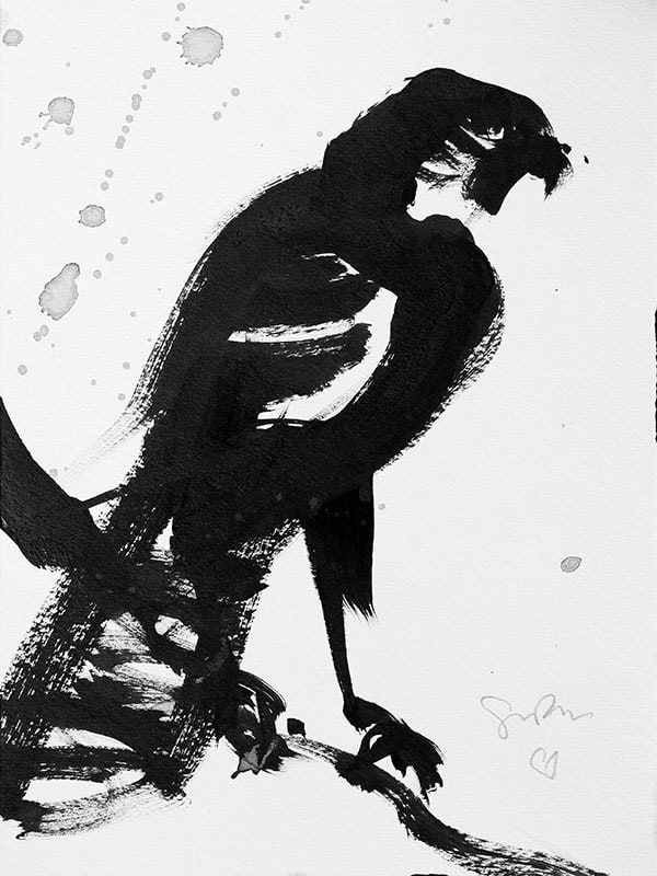 Simon Bull, Bird Study, 2020