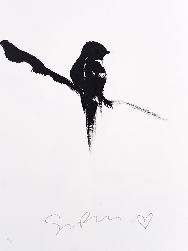 Simon Bull, Bird Study, 2020