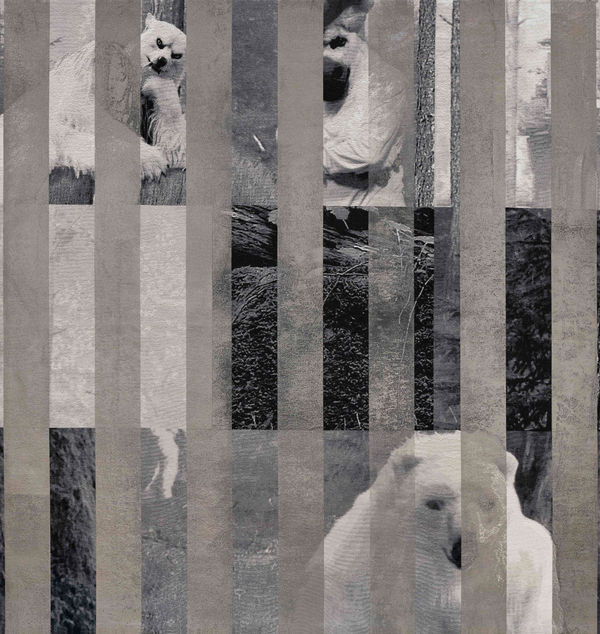 Goshka Macuga, Hidden Until Circumstances Are Suitable (Polar Bear and Wolf) ｜隐藏到环境适宜为止（北极熊和狼）, 2020