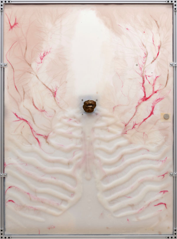 刘昕, The Cradle ｜ 摇篮, 2024