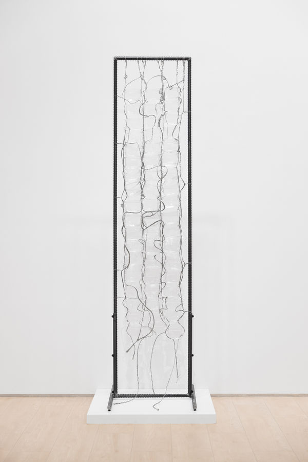 张文怡, 鸟浴 ｜Bird Bath, 2025