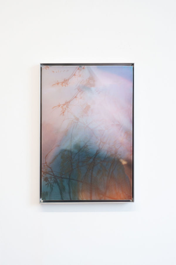 Damaris Athene, __deepcopy.007, 2025