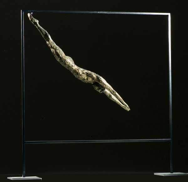 Anne Jaeckin, Le Plongeon