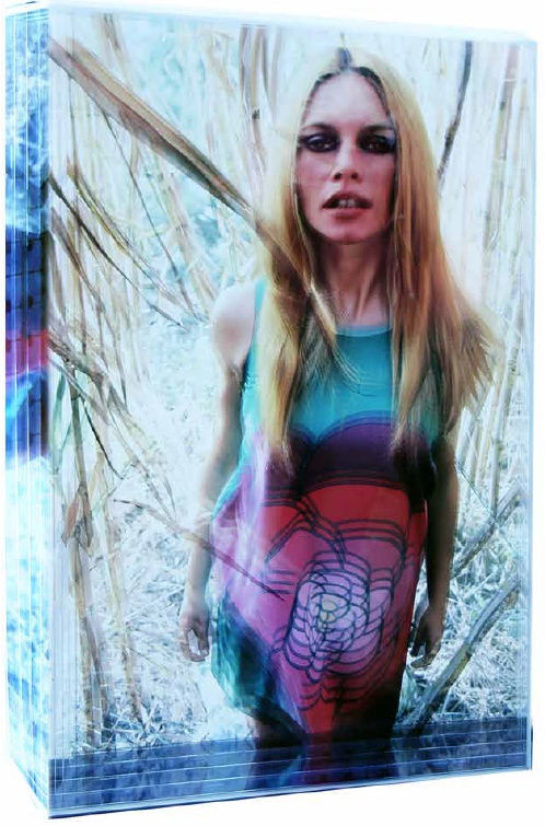 Just Jaeckin, Brigitte Bardot Roseaux