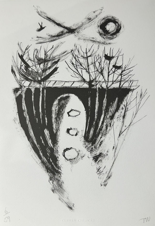 Tessa Newcomb - Bridge