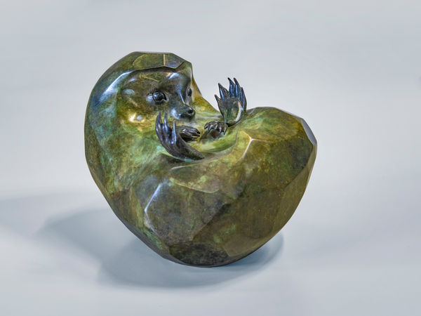 Vadim Tuzov, Hedgehog