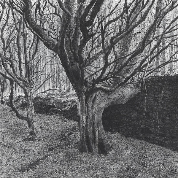 Michael Wann, Silent Orchard, 2022