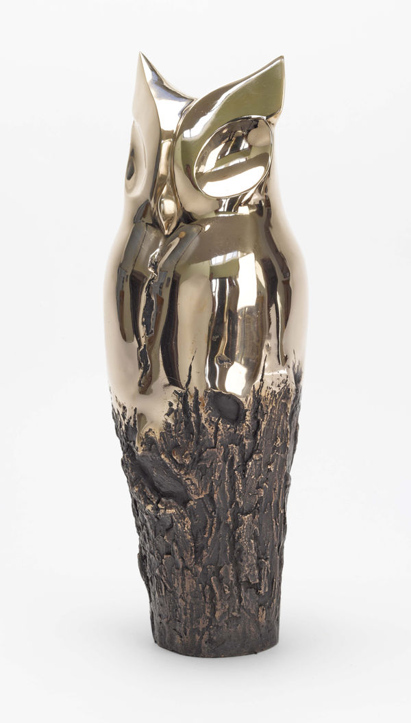 Anna Campbell, Longed Eared Owl