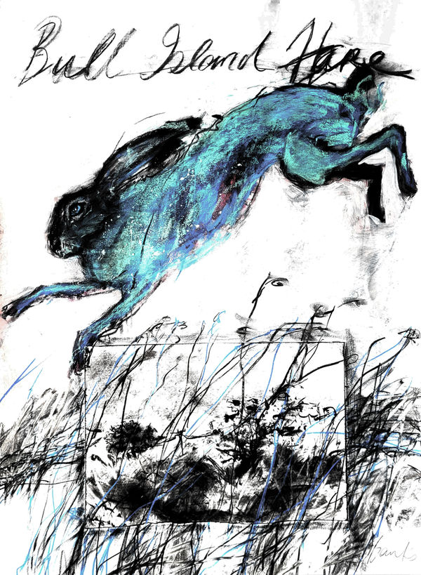 Margo Banks, Bull Island Hare
