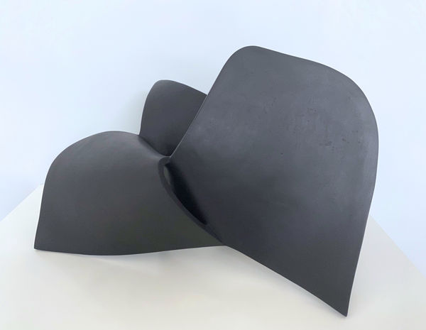 Eilis O'Connell RHA, Hollowed Out, 2020