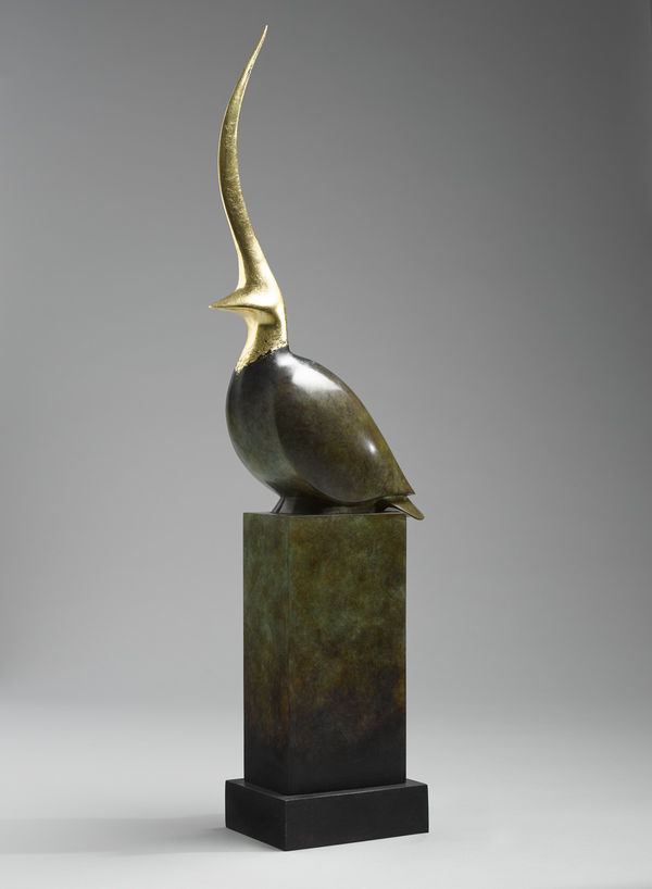 Peter Killeen, Chofa