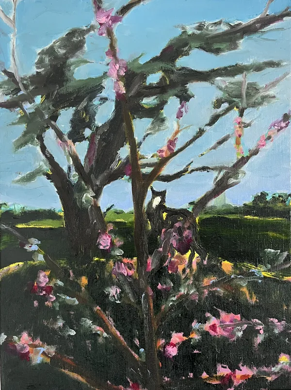 Serena Caulfield, Renewal