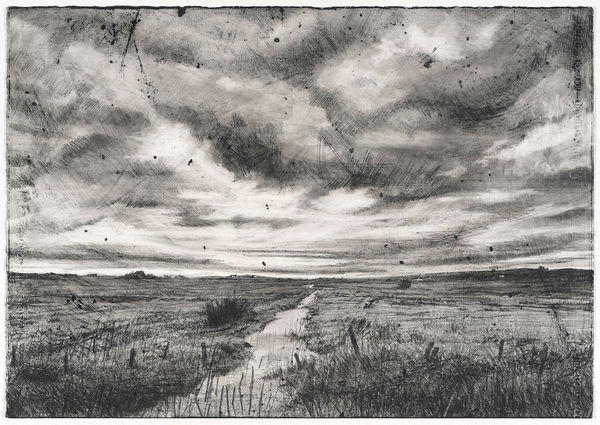 Michael Wann, Bog Weather, 2019