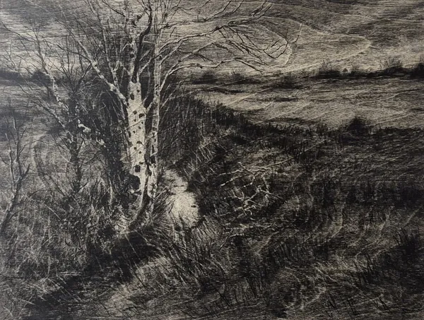 Michael Wann, Follow the River 1, 2026