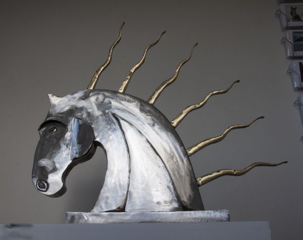 Ronan Halpin, Silver Horse