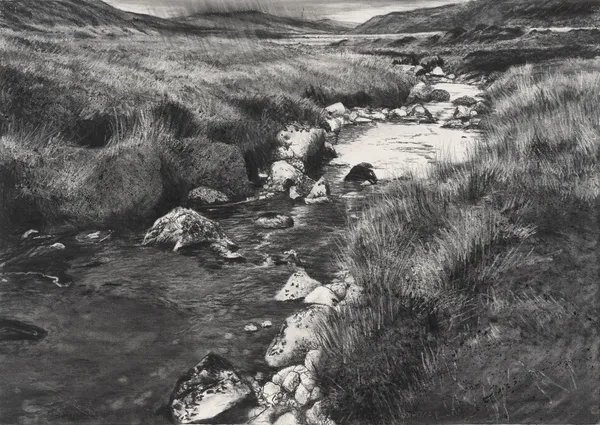 Michael Wann, Bog Rain, 2023