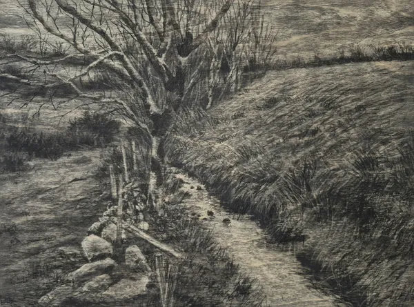 Michael Wann, Follow the River 2, 2026