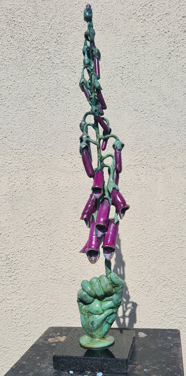 John Coll, Digitalis