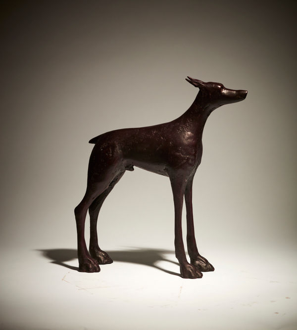 Anthony Scott RUA, Doberman (Hunter), 2022