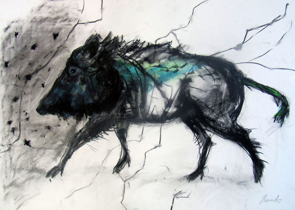 Margo Banks Boar 1 Mixed Media om Paper 70x100cm