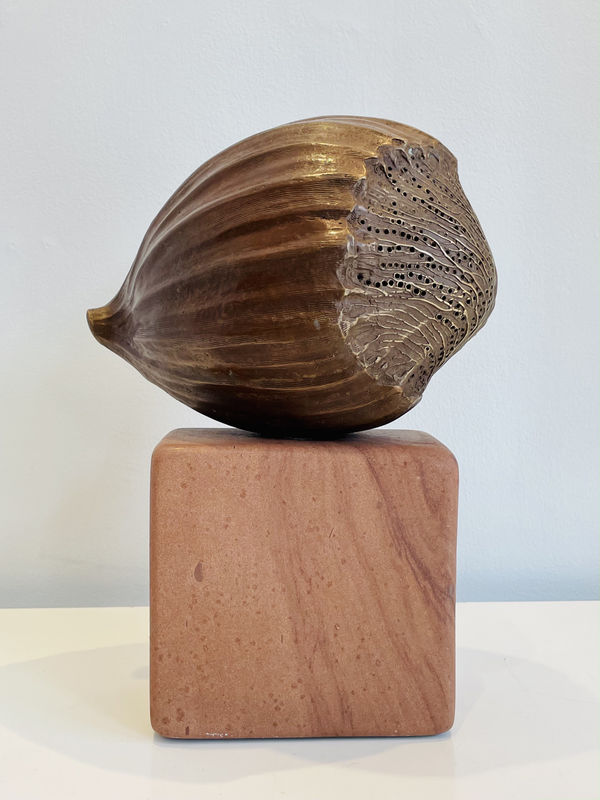 Rachel Joynt RHA, Pulse (low base)