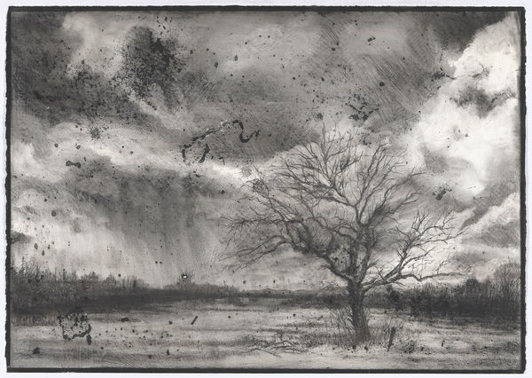 Michael Wann, Something in the Air, 2017