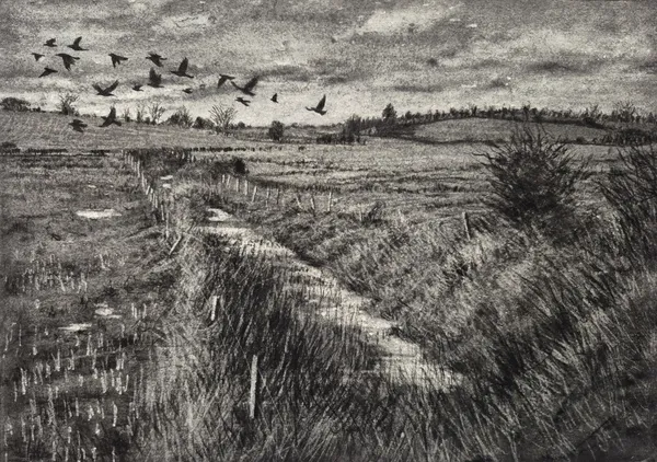 Michael Wann, Ditch, with Crows Departing, 2026