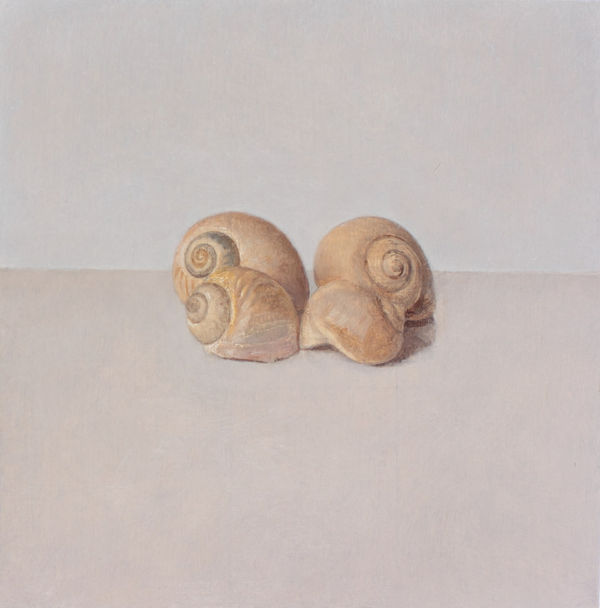 Comhghall Casey, Four Shells (Portmarnock), 2022