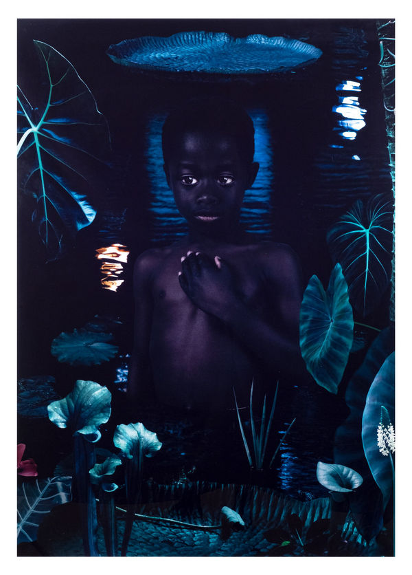 Ruud Van Empel Moon 3, 2006 Cibachrome 120 x 84 cm 8 of 10