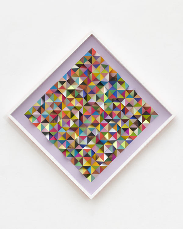 Sean Newport, Wildflowers, 2021