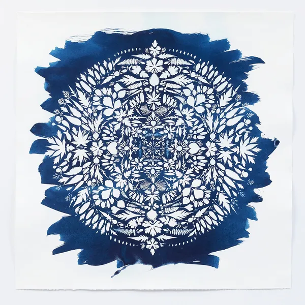 Hillary Waters Fayle cyanotype - blue with leaves