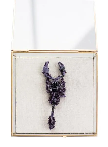 Tyler Thrasher, Amethyst Scorpion, 2017