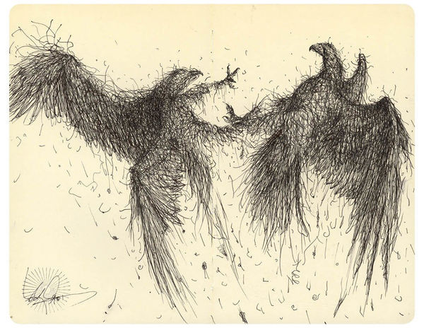 Two birds in flight drawing by DALeast