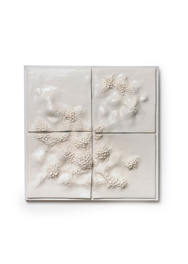 LABINAC, Lichens (white), 2022