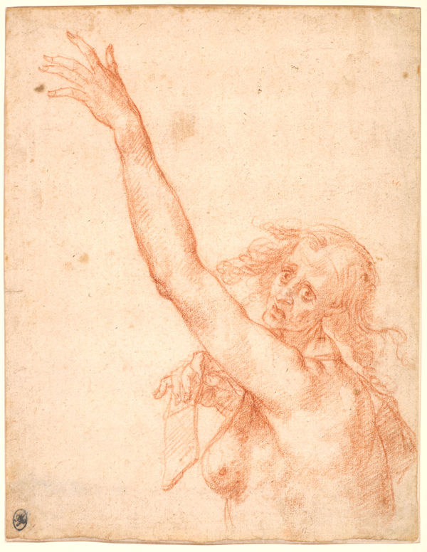 Giovanni Mannozzi, called Giovanni da San Giovanni, (Attributed to) Study of a Fate at mid-body / (Attribué à) Etude de Parque à mi-corps , ca. 1635