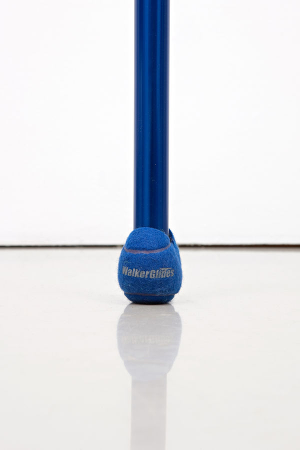 Telescopic Pole [Walkerglides/Blue]