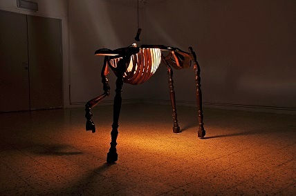 Liat Danieli, Equus Caballus, 2012