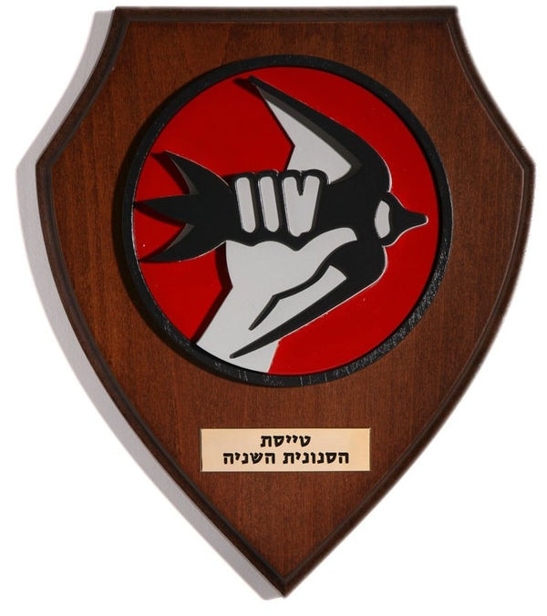 Ido Michaeli, Second Martin Squadron, 2008