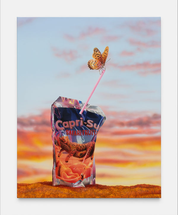 Léo Luccioni, Nature Morte ? N°5, 2024