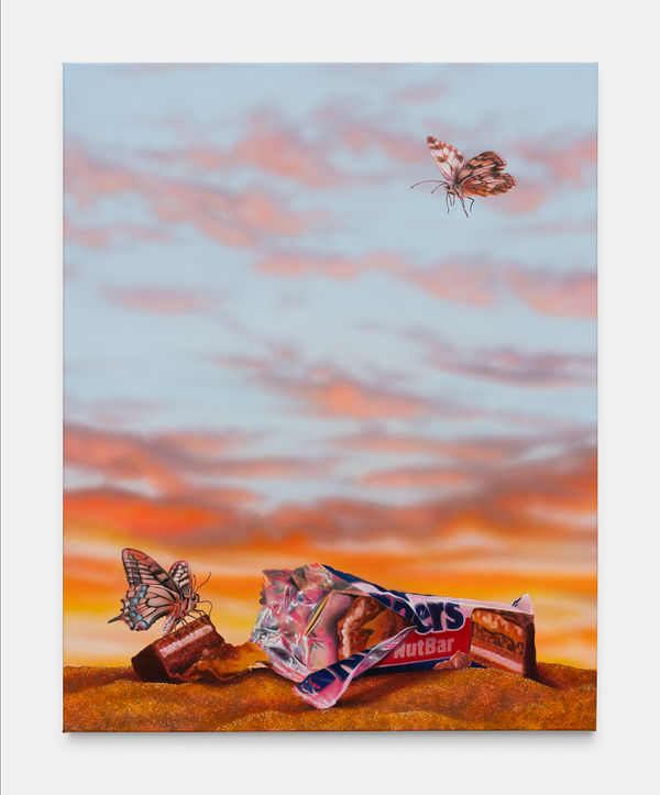 Léo Luccioni, Nature Morte ? N°6, 2024