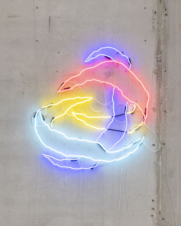 Léo Luccioni, TOTAL peel, 2021