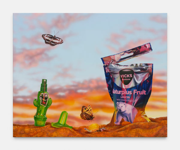 Léo Luccioni, Nature Morte ? N°3, 2024