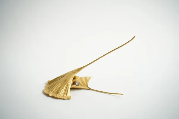 Shota Suzuki, The Ginkgo, 2026