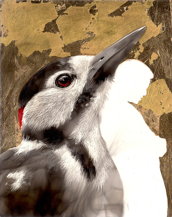 Steven Spazuk, Woodpecker