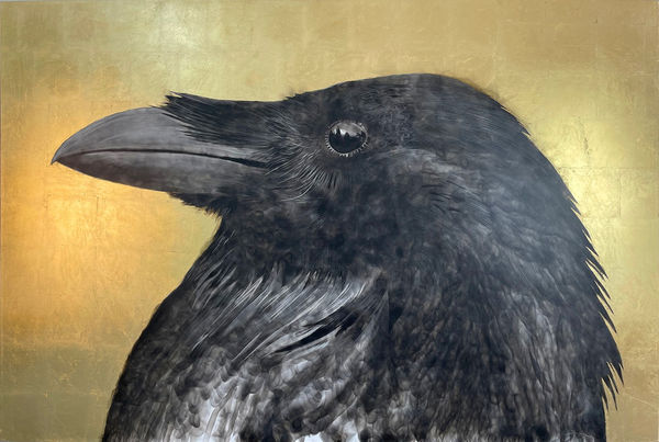 Steven Spazuk, Raven