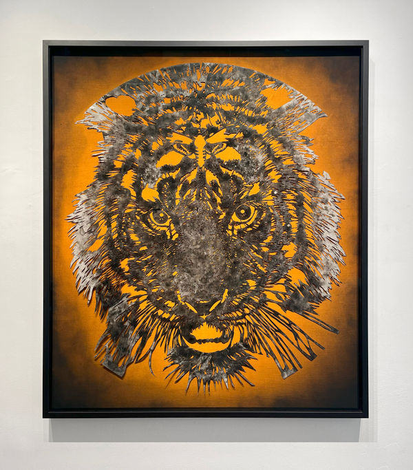 Steven Spazuk, Tiger