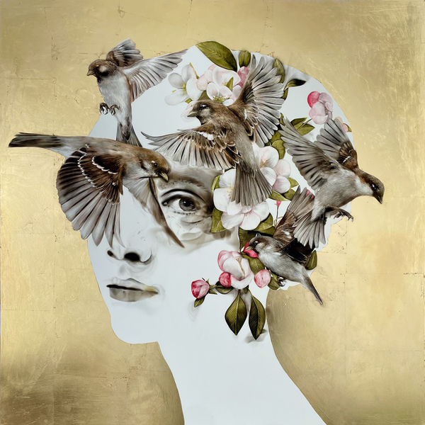 Steven Spazuk, Sparrows